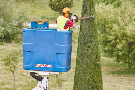 tree work