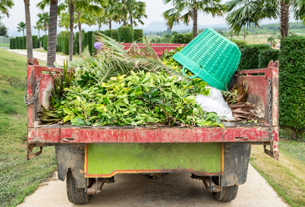 waste removal
